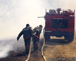 В Петербурге открыты пункты сбора гумпомощи для погорельцев